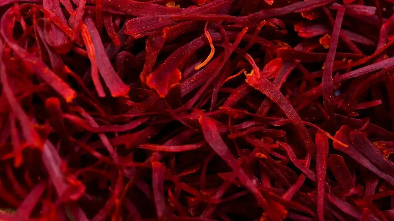 Safranın Kilosu 900 Bin Lira: Antalya'dan At Kılı Uyarısı 4